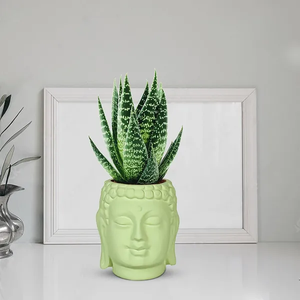Buddha_3.5_Mint_Ceramic_Pots_For_Indoor_Plants,_Planters,_Flower,_Pots,_Gamla,Outdoor,Balcony,Home,Round,Garden,_Office_Decor,Succulent(H_-_9_X_D_-_8.5_Cm)