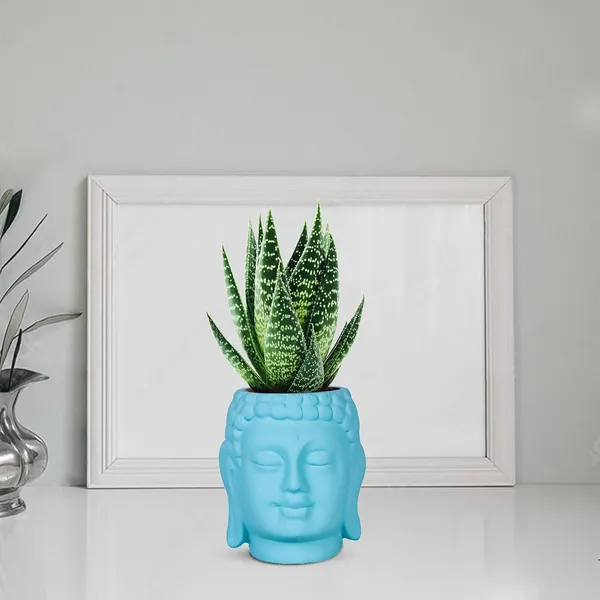 Buddha_3.5_Aqua_Ceramic_Pots_For_Indoor_Plants,_Planters,_Flower,_Pots,_Gamla,Outdoor,Balcony,Home,Round,Garden,_Office_Decor,Succulent(H_-_9_X_D_-_8.5_Cm)