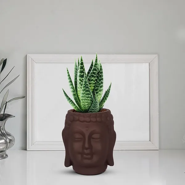 Buddha_3.5_Truffle_Ceramic_Pots_For_Indoor_Plants,_Planters,_Flower,_Pots,_Gamla,Outdoor,Balcony,Home,Round,Garden,_Office_Decor,Succulent(H_-_9_X_D_-_8.5_Cm)