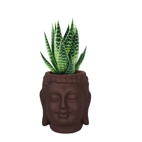 Buddha_3.5_Truffle_Ceramic_Pots_For_Indoor_Plants,_Planters,_Flower,_Pots,_Gamla,Outdoor,Balcony,Home,Round,Garden,_Office_Decor,Succulent(H_-_9_X_D_-_8.5_Cm)