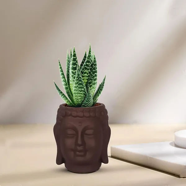 Buddha_3.5_Truffle_Ceramic_Pots_For_Indoor_Plants,_Planters,_Flower,_Pots,_Gamla,Outdoor,Balcony,Home,Round,Garden,_Office_Decor,Succulent(H_-_9_X_D_-_8.5_Cm)