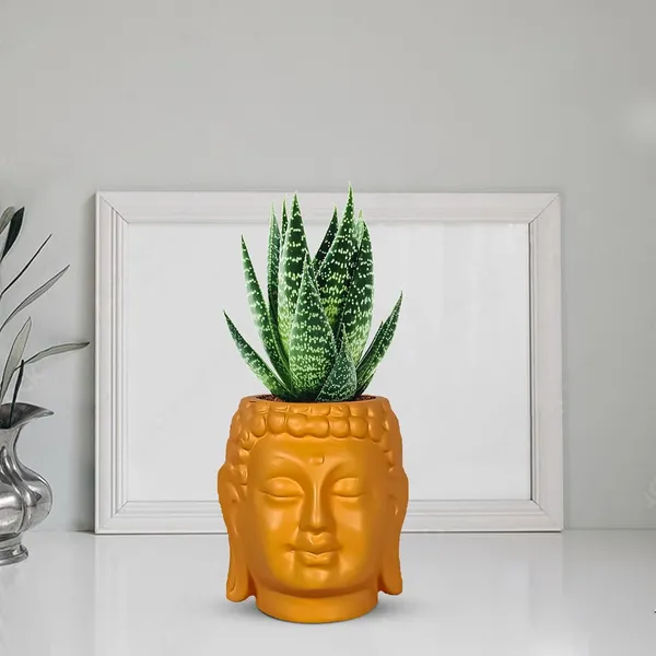 Buddha_3.5_Lily_Ceramic_Pots_For_Indoor_Plants,_Planters,_Flower,_Pots,_Gamla,Outdoor,Balcony,Home,Round,Garden,_Office_Decor,Succulent(H_-_9_X_D_-_8.5_Cm)