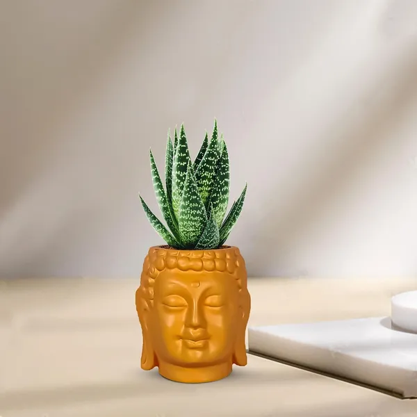 Buddha_3.5_Lily_Ceramic_Pots_For_Indoor_Plants,_Planters,_Flower,_Pots,_Gamla,Outdoor,Balcony,Home,Round,Garden,_Office_Decor,Succulent(H_-_9_X_D_-_8.5_Cm)
