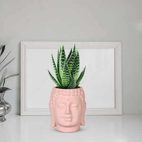 Buddha_3.5_Pink_Ceramic_Pots_For_Indoor_Plants,_Planters,_Flower,_Pots,_Gamla,Outdoor,Balcony,Home,Round,Garden,_Office_Decor,Succulent(H_-_9_X_D_-_8.5_Cm)