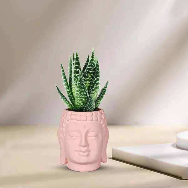 Buddha_3.5_Pink_Ceramic_Pots_For_Indoor_Plants,_Planters,_Flower,_Pots,_Gamla,Outdoor,Balcony,Home,Round,Garden,_Office_Decor,Succulent(H_-_9_X_D_-_8.5_Cm)