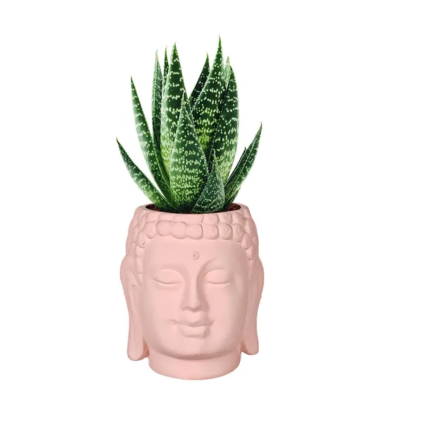 Buddha_3.5_Pink_Ceramic_Pots_For_Indoor_Plants,_Planters,_Flower,_Pots,_Gamla,Outdoor,Balcony,Home,Round,Garden,_Office_Decor,Succulent(H_-_9_X_D_-_8.5_Cm)