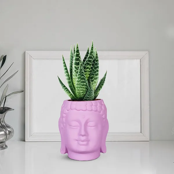 Buddha_3.5_Purple_Ceramic_Pots_For_Indoor_Plants,_Planters,_Flower,_Pots,_Gamla,Outdoor,Balcony,Home,Round,Garden,_Office_Decor,Succulent(H_-_9_X_D_-_8.5_Cm)