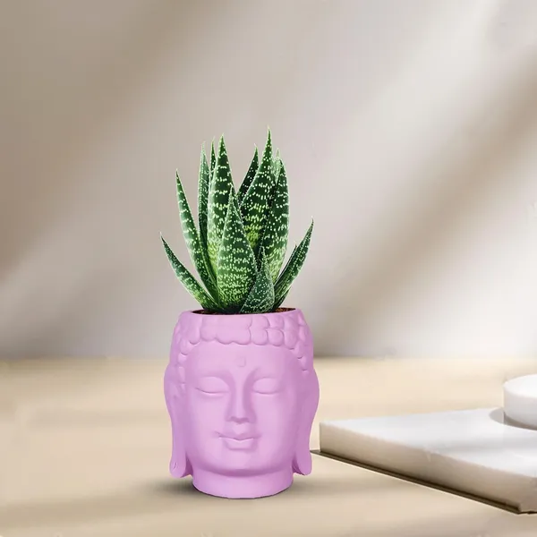 Buddha_3.5_Purple_Ceramic_Pots_For_Indoor_Plants,_Planters,_Flower,_Pots,_Gamla,Outdoor,Balcony,Home,Round,Garden,_Office_Decor,Succulent(H_-_9_X_D_-_8.5_Cm)