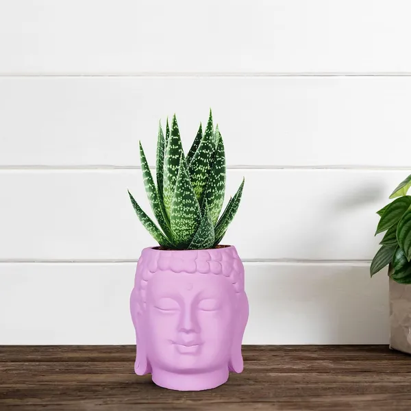 Buddha_3.5_Purple_Ceramic_Pots_For_Indoor_Plants,_Planters,_Flower,_Pots,_Gamla,Outdoor,Balcony,Home,Round,Garden,_Office_Decor,Succulent(H_-_9_X_D_-_8.5_Cm)