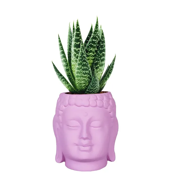 Buddha_3.5_Purple_Ceramic_Pots_For_Indoor_Plants,_Planters,_Flower,_Pots,_Gamla,Outdoor,Balcony,Home,Round,Garden,_Office_Decor,Succulent(H_-_9_X_D_-_8.5_Cm)