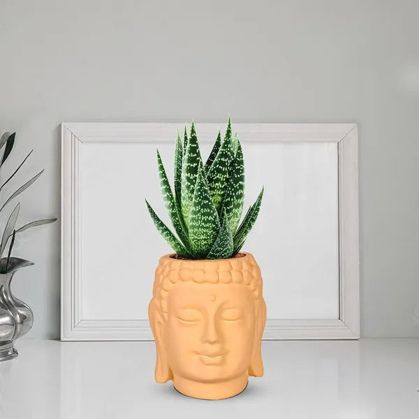 Buddha_3.5_Saffron_Ceramic_Pots_For_Indoor_Plants,_Planters,_Flower,_Pots,_Gamla,Outdoor,Balcony,Home,Round,Garden,_Office_Decor,Succulent(H_-_9_X_D_-_8.5_Cm)