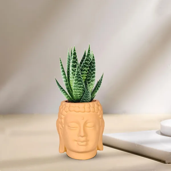 Buddha_3.5_Saffron_Ceramic_Pots_For_Indoor_Plants,_Planters,_Flower,_Pots,_Gamla,Outdoor,Balcony,Home,Round,Garden,_Office_Decor,Succulent(H_-_9_X_D_-_8.5_Cm)