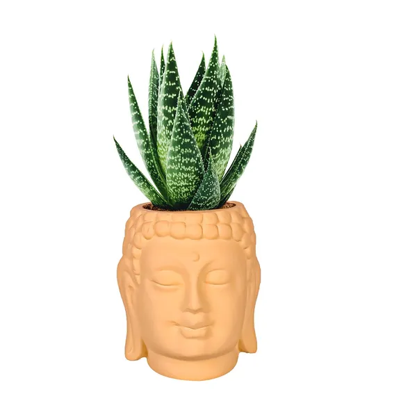 Buddha_3.5_Saffron_Ceramic_Pots_For_Indoor_Plants,_Planters,_Flower,_Pots,_Gamla,Outdoor,Balcony,Home,Round,Garden,_Office_Decor,Succulent(H_-_9_X_D_-_8.5_Cm)