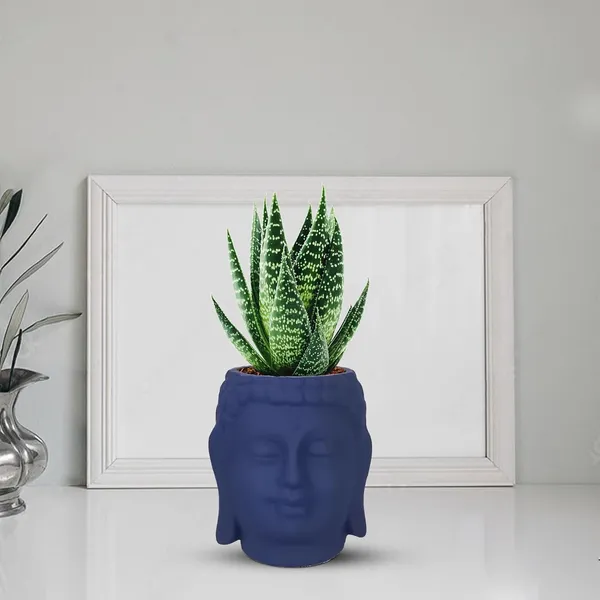 Buddha_3.5_Blue_Ceramic_Pots_For_Indoor_Plants,_Planters,_Flower,_Pots,_Gamla,Outdoor,Balcony,Home,Round,Garden,_Office_Decor,Succulent(H_-_9_X_D_-_8.5_Cm)