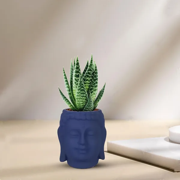Buddha_3.5_Blue_Ceramic_Pots_For_Indoor_Plants,_Planters,_Flower,_Pots,_Gamla,Outdoor,Balcony,Home,Round,Garden,_Office_Decor,Succulent(H_-_9_X_D_-_8.5_Cm)