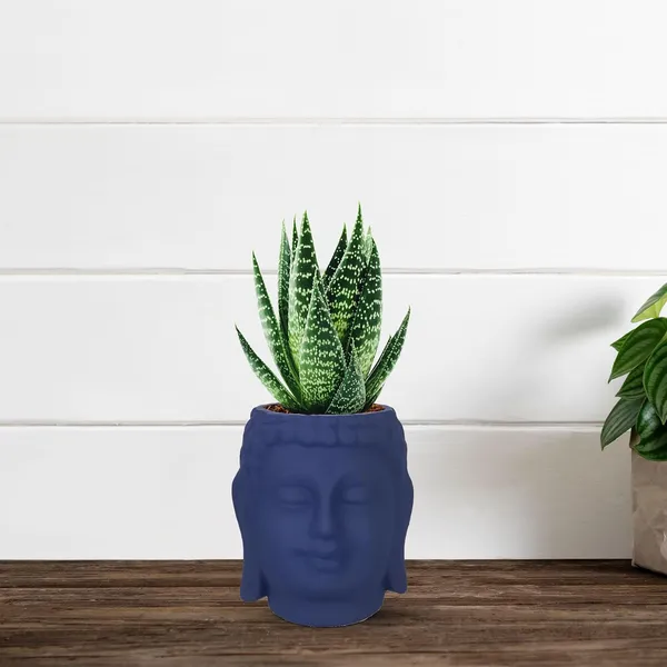 Buddha_3.5_Blue_Ceramic_Pots_For_Indoor_Plants,_Planters,_Flower,_Pots,_Gamla,Outdoor,Balcony,Home,Round,Garden,_Office_Decor,Succulent(H_-_9_X_D_-_8.5_Cm)
