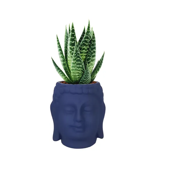 Buddha_3.5_Blue_Ceramic_Pots_For_Indoor_Plants,_Planters,_Flower,_Pots,_Gamla,Outdoor,Balcony,Home,Round,Garden,_Office_Decor,Succulent(H_-_9_X_D_-_8.5_Cm)