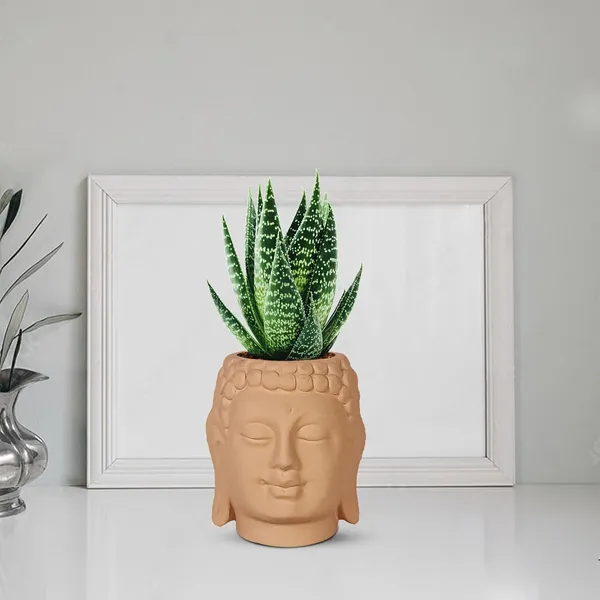 Buddha_3.5_Ginger_Ceramic_Pots_For_Indoor_Plants,_Planters,_Flower,_Pots,_Gamla,Outdoor,Balcony,Home,Round,Garden,_Office_Decor,Succulent(H_-_9_X_D_-_8.5_Cm)
