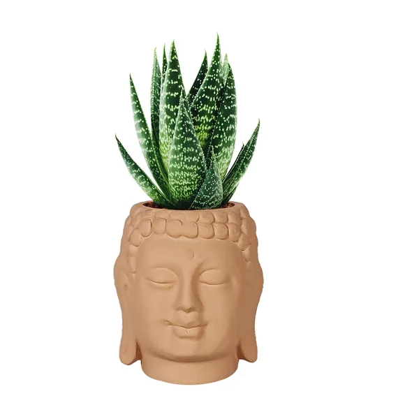 Buddha_3.5_Ginger_Ceramic_Pots_For_Indoor_Plants,_Planters,_Flower,_Pots,_Gamla,Outdoor,Balcony,Home,Round,Garden,_Office_Decor,Succulent(H_-_9_X_D_-_8.5_Cm)