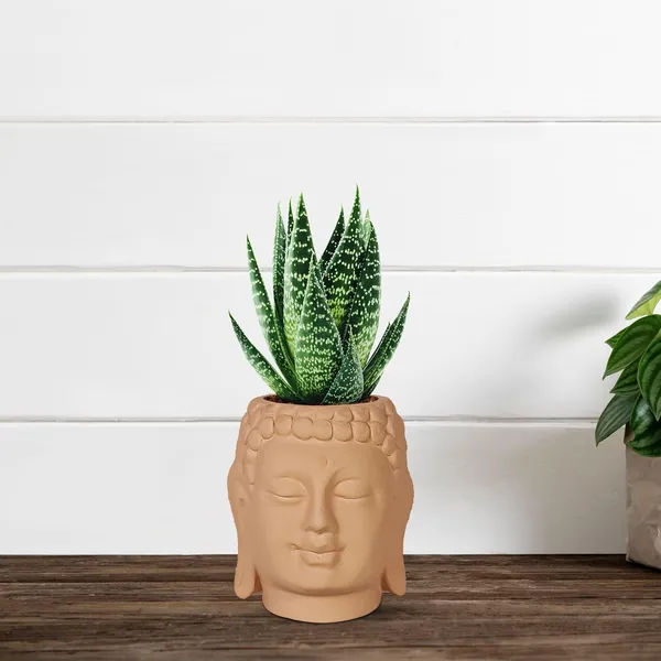 Buddha_3.5_Ginger_Ceramic_Pots_For_Indoor_Plants,_Planters,_Flower,_Pots,_Gamla,Outdoor,Balcony,Home,Round,Garden,_Office_Decor,Succulent(H_-_9_X_D_-_8.5_Cm)