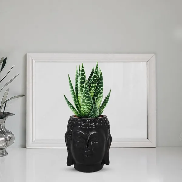 Buddha_3.5_Black_Ceramic_Pots_For_Indoor_Plants,_Planters,_Flower,_Pots,_Gamla,Outdoor,Balcony,Home,Round,Garden,_Office_Decor,Succulent(H_-_9_X_D_-_8.5_Cm)
