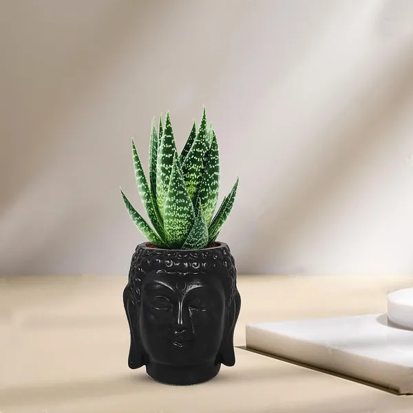 Buddha_3.5_Black_Ceramic_Pots_For_Indoor_Plants,_Planters,_Flower,_Pots,_Gamla,Outdoor,Balcony,Home,Round,Garden,_Office_Decor,Succulent(H_-_9_X_D_-_8.5_Cm)
