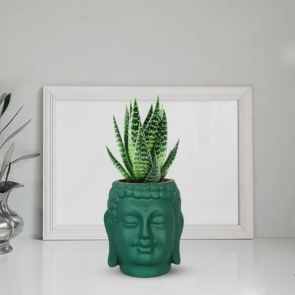 Buddha_3.5_Deep_Jungle_Ceramic_Pots_For_Indoor_Plants,_Planters,_Flower,_Pots,_Gamla,Outdoor,Balcony,Home,Round,Garden,_Office_Decor,Succulent(H_-_9_X_D_-_8.5_Cm)