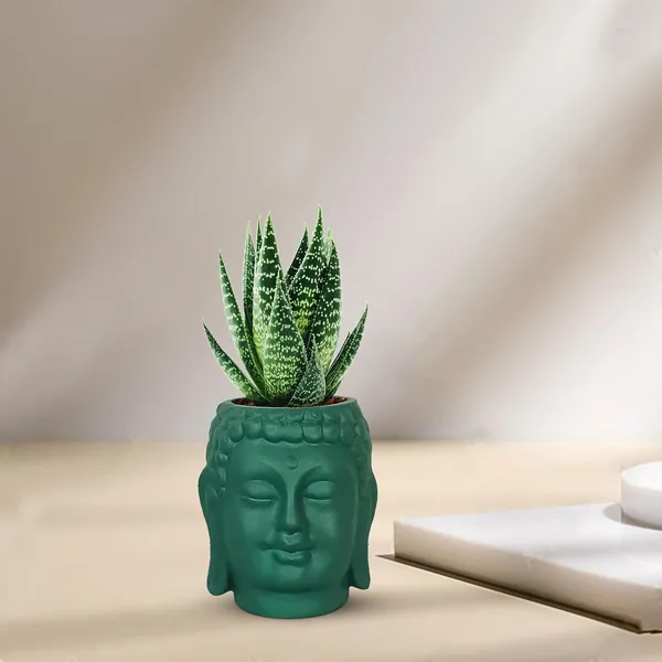 Buddha_3.5_Deep_Jungle_Ceramic_Pots_For_Indoor_Plants,_Planters,_Flower,_Pots,_Gamla,Outdoor,Balcony,Home,Round,Garden,_Office_Decor,Succulent(H_-_9_X_D_-_8.5_Cm)