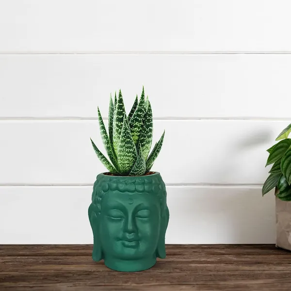 Buddha_3.5_Deep_Jungle_Ceramic_Pots_For_Indoor_Plants,_Planters,_Flower,_Pots,_Gamla,Outdoor,Balcony,Home,Round,Garden,_Office_Decor,Succulent(H_-_9_X_D_-_8.5_Cm)