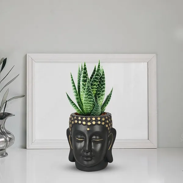 Buddha_3.5_Black_Gold_Ceramic_Pots_For_Indoor_Plants,_Planters,_Flower,_Pots,_Gamla,Outdoor,Balcony,Home,Round,Garden,_Office_Decor,Succulent(H_-_9_X_D_-_8.5_Cm)