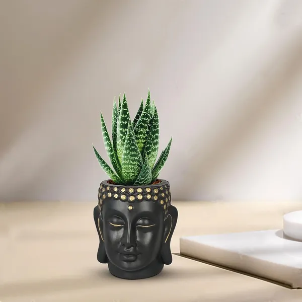 Buddha_3.5_Black_Gold_Ceramic_Pots_For_Indoor_Plants,_Planters,_Flower,_Pots,_Gamla,Outdoor,Balcony,Home,Round,Garden,_Office_Decor,Succulent(H_-_9_X_D_-_8.5_Cm)