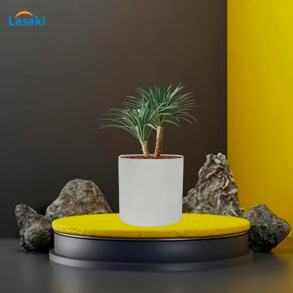 Pi_Pot_4_White_Ceramic_Pots_For_Indoor_Plants,_Planters,_Flower,_Pots,_Gamla,Outdoor,Balcony,Home,Round,Garden,_Office_Decor,Succulent(H_-_9_X_D_-_9_Cm)