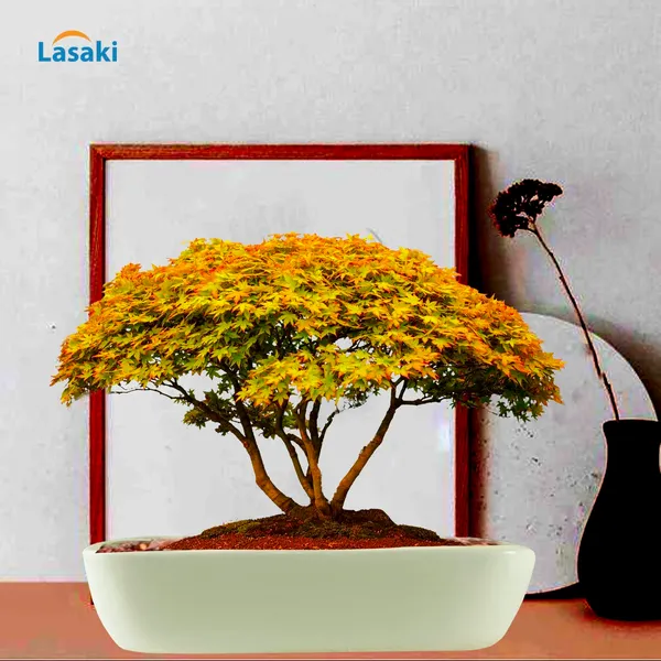 Rectangle_Oblong_Big_White_Ceramic_Pots_For_Indoor_Plants,Bonsai,Planters,Gamla,Outdoor,Balcony,Home,Garden,Office_Decor,Succulent(L_-_31_X_W_-_17.5_X_H_-_6.5_Cm)