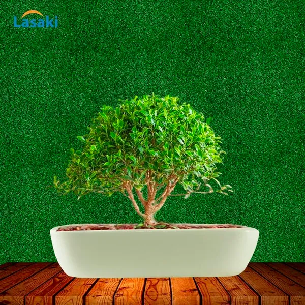 Rectangle_Oblong_Big_White_Ceramic_Pots_For_Indoor_Plants,Bonsai,Planters,Gamla,Outdoor,Balcony,Home,Garden,Office_Decor,Succulent(L_-_31_X_W_-_17.5_X_H_-_6.5_Cm)