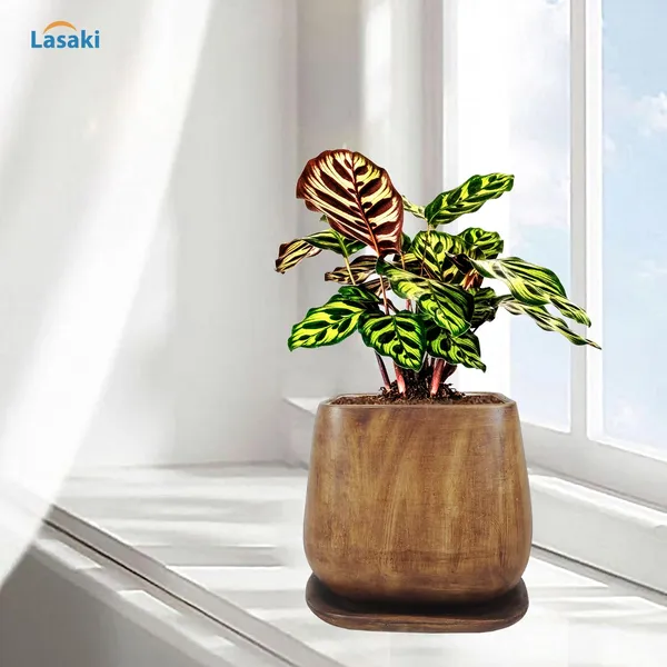 Pearl_Medium_Antique_With_Plate_Ceramic_Pots_For_Indoor_Plants,Planters,Gamla,Outdoor,Balcony,Home,Square,Garden,Office_Decor,Succulent(L-15_X_W-15_X_H-13.5_Cm)