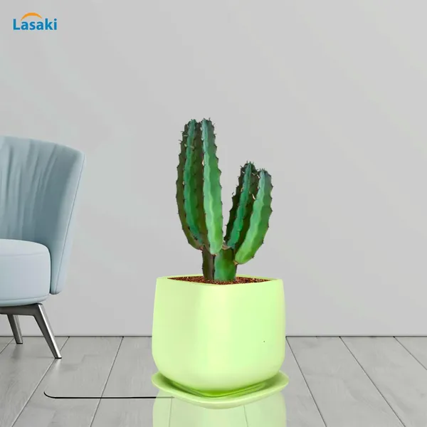 Pearl_Medium_Mint_With_Plate_Ceramic_Pots_For_Indoor_Plants,Planters,Gamla,Outdoor,Balcony,Home,Square,Garden,Office_Decor,Succulent(L-15_X_W-15_X_H-13.5_Cm)