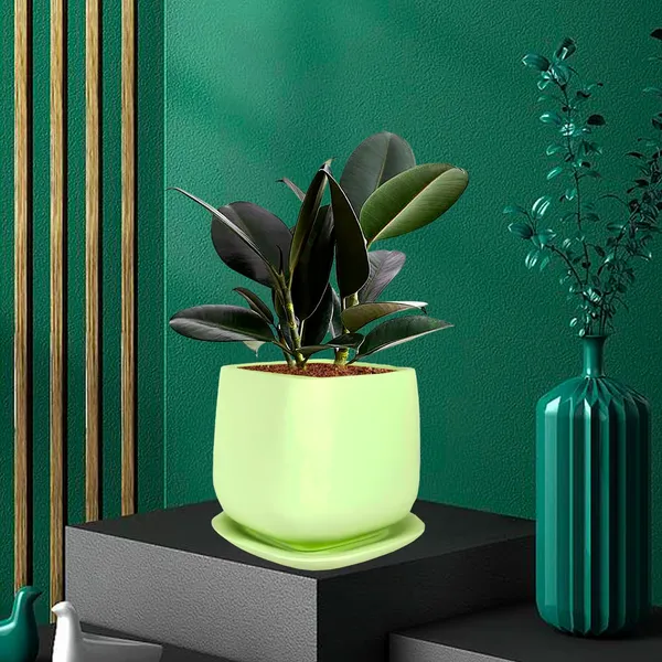 Pearl_Medium_Mint_With_Plate_Ceramic_Pots_For_Indoor_Plants,Planters,Gamla,Outdoor,Balcony,Home,Square,Garden,Office_Decor,Succulent(L-15_X_W-15_X_H-13.5_Cm)