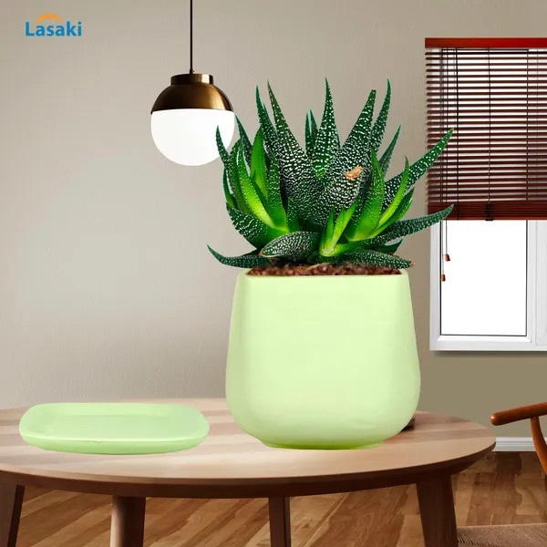 Pearl_Medium_Mint_With_Plate_Ceramic_Pots_For_Indoor_Plants,Planters,Gamla,Outdoor,Balcony,Home,Square,Garden,Office_Decor,Succulent(L-15_X_W-15_X_H-13.5_Cm)