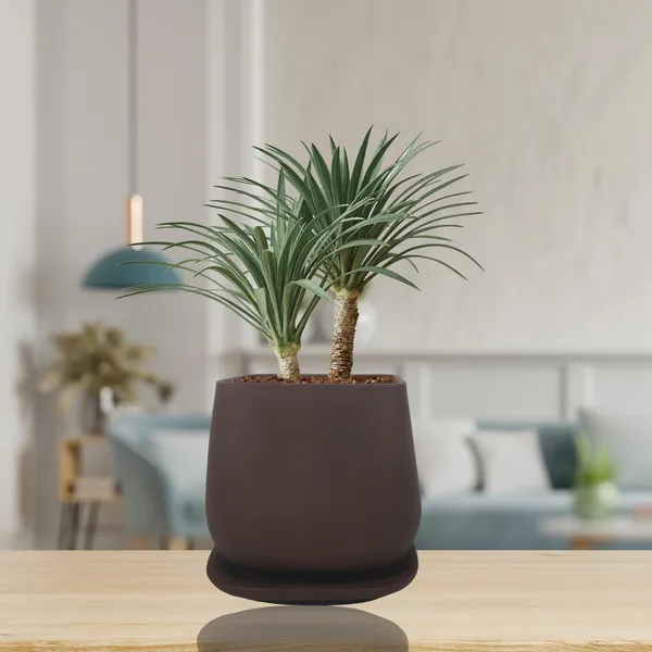 Pearl_Medium_Truffle_With_Plate_Ceramic_Pots_For_Indoor_Plants,Planters,Gamla,Outdoor,Balcony,Home,Square,Garden,Office_Decor,Succulent(L-15_X_W-15_X_H-13.5_Cm)