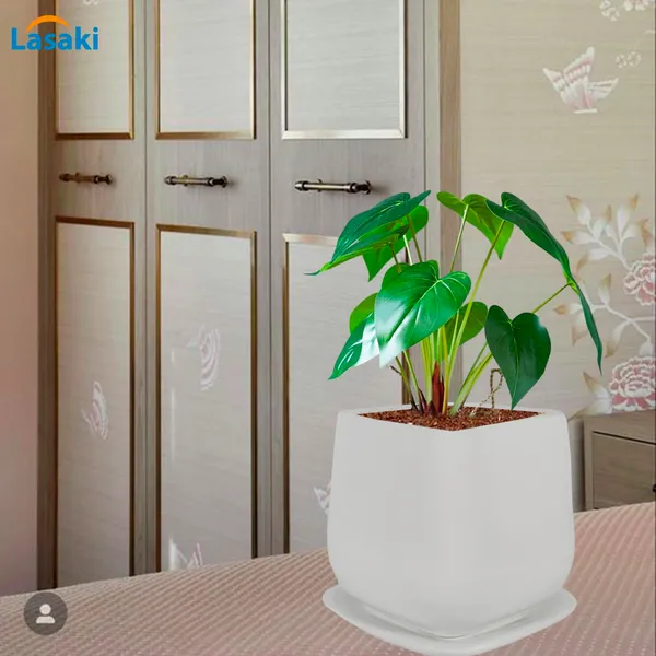 Pearl_Medium_White_With_Plate_Ceramic_Pots_For_Indoor_Plants,Planters,Gamla,Outdoor,Balcony,Home,Square,Garden,Office_Decor,Succulent(L-15_X_W-15_X_H-13.5_Cm)