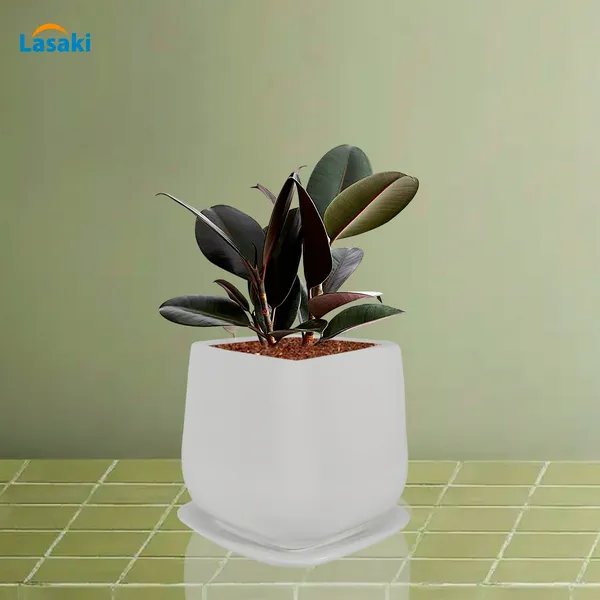 Pearl_Medium_White_With_Plate_Ceramic_Pots_For_Indoor_Plants,Planters,Gamla,Outdoor,Balcony,Home,Square,Garden,Office_Decor,Succulent(L-15_X_W-15_X_H-13.5_Cm)