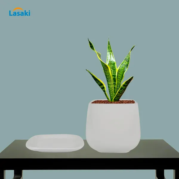 Pearl_Medium_White_With_Plate_Ceramic_Pots_For_Indoor_Plants,Planters,Gamla,Outdoor,Balcony,Home,Square,Garden,Office_Decor,Succulent(L-15_X_W-15_X_H-13.5_Cm)