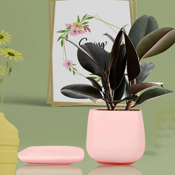 Pearl_Medium_Pink_With_Plate_Ceramic_Pots_For_Indoor_Plants,Planters,Gamla,Outdoor,Balcony,Home,Square,Garden,Office_Decor,Succulent(L-15_X_W-15_X_H-13.5_Cm)