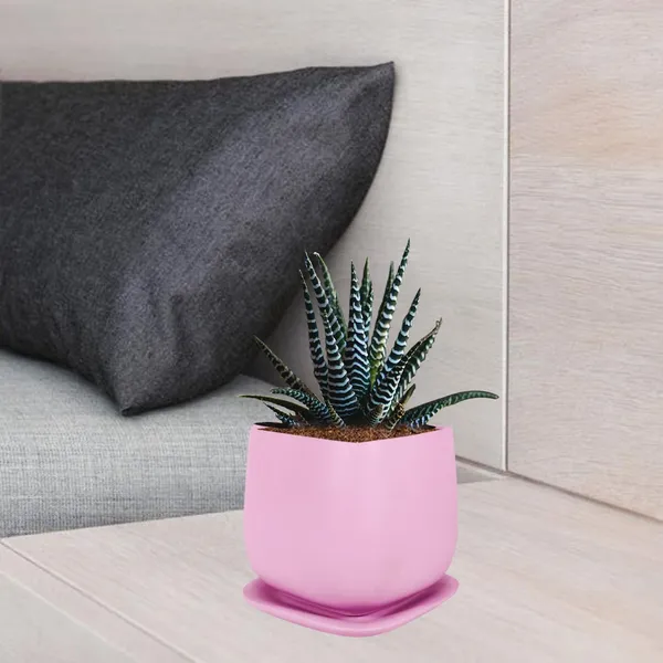 Pearl_Medium_Purple_With_Plate_Ceramic_Pots_For_Indoor_Plants,Planters,Gamla,Outdoor,Balcony,Home,Square,Garden,Office_Decor,Succulent(L-15_X_W-15_X_H-13.5_Cm)