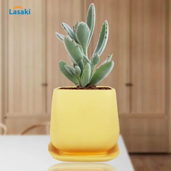 Pearl_Medium_Saffron_With_Plate_Ceramic_Pots_For_Indoor_Plants,Planters,Gamla,Outdoor,Balcony,Home,Square,Garden,Office_Decor,Succulent(L-15_X_W-15_X_H-13.5_Cm)