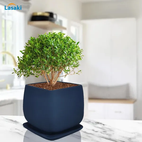 Pearl_Medium_Blue_With_Plate_Ceramic_Pots_For_Indoor_Plants,Planters,Gamla,Outdoor,Balcony,Home,Square,Garden,Office_Decor,Succulent(L-15_X_W-15_X_H-13.5_Cm)