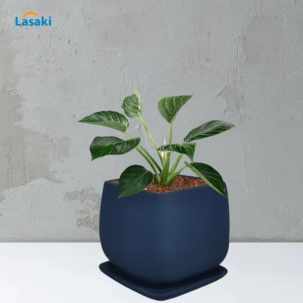 Pearl_Medium_Blue_With_Plate_Ceramic_Pots_For_Indoor_Plants,Planters,Gamla,Outdoor,Balcony,Home,Square,Garden,Office_Decor,Succulent(L-15_X_W-15_X_H-13.5_Cm)