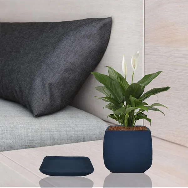 Pearl_Medium_Blue_With_Plate_Ceramic_Pots_For_Indoor_Plants,Planters,Gamla,Outdoor,Balcony,Home,Square,Garden,Office_Decor,Succulent(L-15_X_W-15_X_H-13.5_Cm)