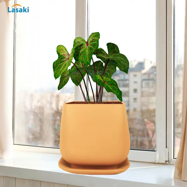 Pearl_Medium_Ginger_With_Plate_Ceramic_Pots_For_Indoor_Plants,Planters,Gamla,Outdoor,Balcony,Home,Square,Garden,Office_Decor,Succulent(L-15_X_W-15_X_H-13.5_Cm)