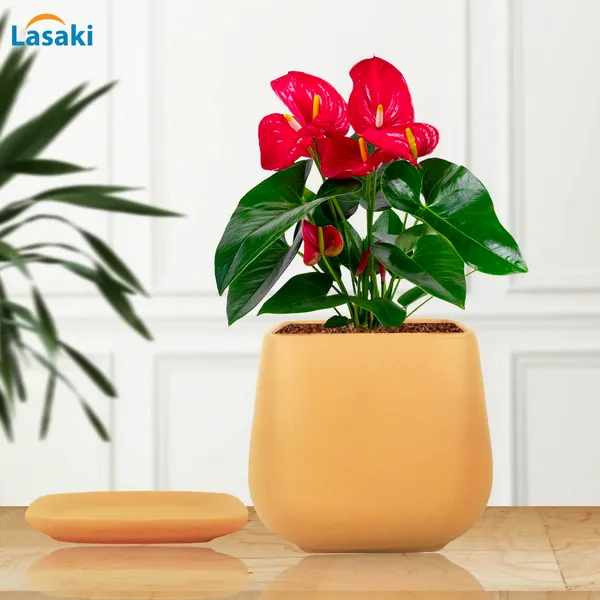 Pearl_Medium_Ginger_With_Plate_Ceramic_Pots_For_Indoor_Plants,Planters,Gamla,Outdoor,Balcony,Home,Square,Garden,Office_Decor,Succulent(L-15_X_W-15_X_H-13.5_Cm)